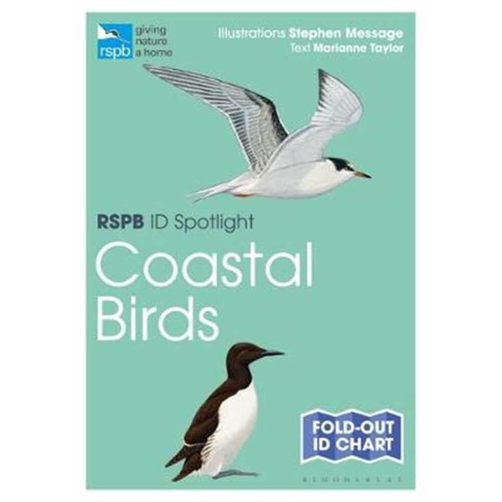 RSPB ID Spotlight - Coastal Birds - Marianne Taylor